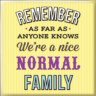 Магнет We are a normal family
