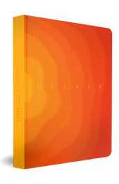 Планум креативност