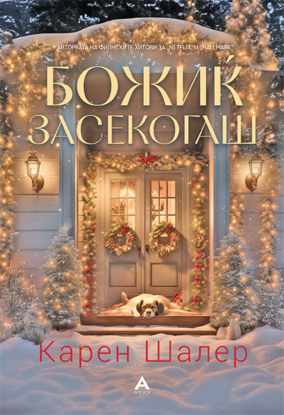 Божиќ засекогаш